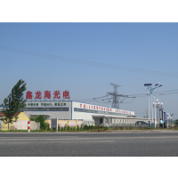 LED照明技術(shù)驅(qū)動(dòng)綠色未來 從路燈改造到智慧養(yǎng)殖的鑫龍海實(shí)踐