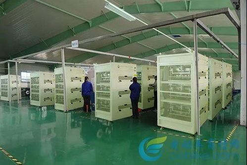 獨(dú)具匠‘芯’ 馳名天下——芯馳光電科技如何以創(chuàng)新引領(lǐng)光電行業(yè)