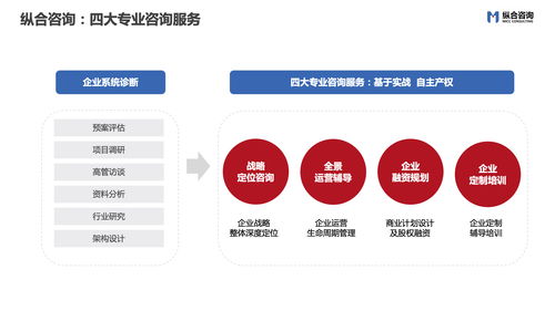 商業(yè)計劃書設計的八個要領